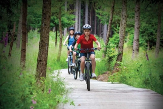 Cycling