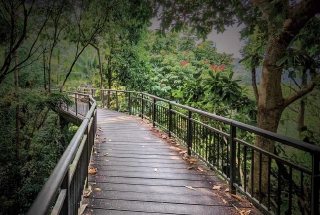 Walking Track